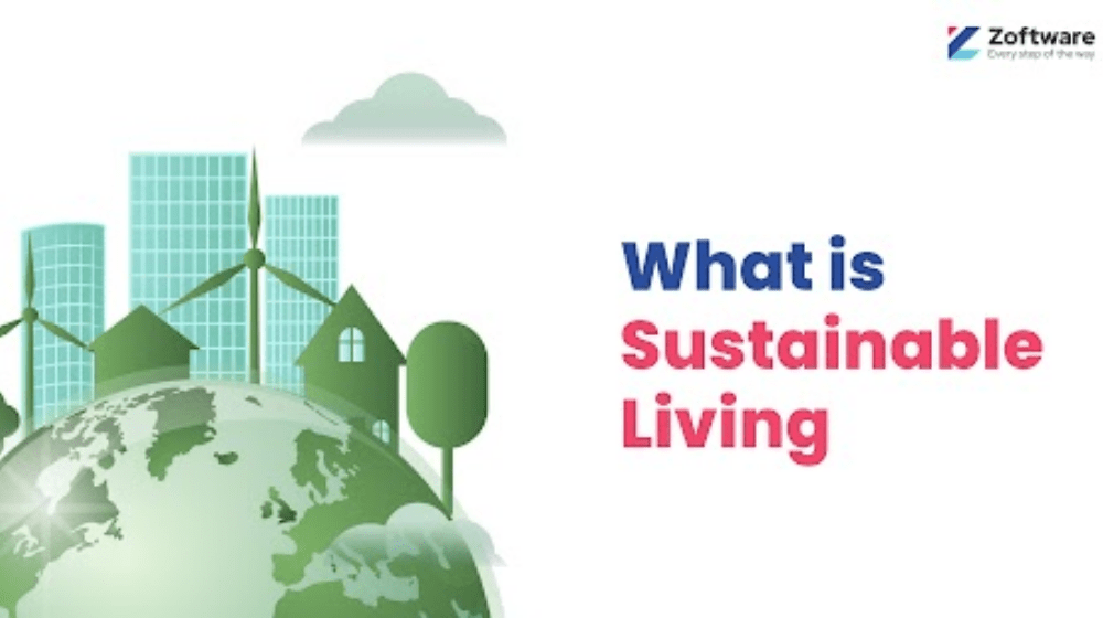 A Guide for Beginners on Sustainable Living: Towards Green Future