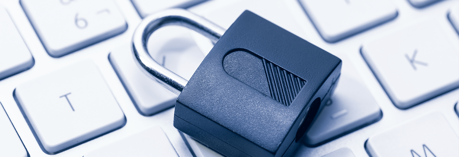 Security Measures and Data Privacy in Business Management Software