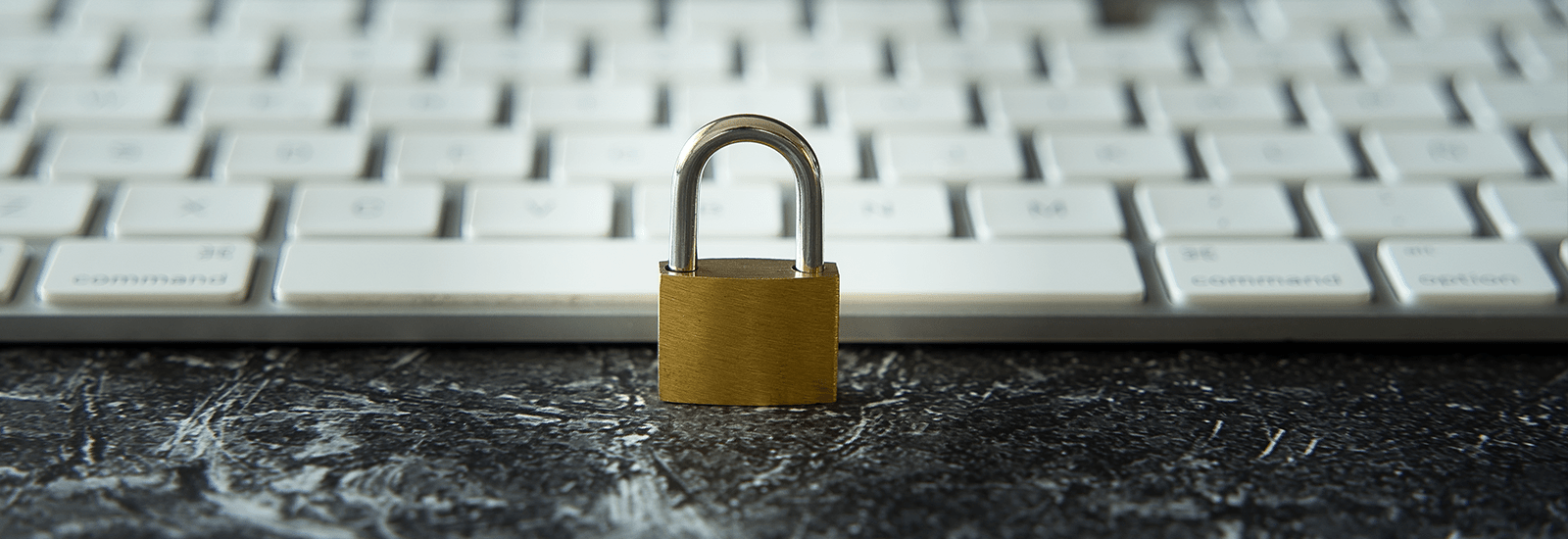 Dubai's Corporate Sector and the Adoption of Next-Gen Security Software